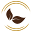 centrodossabores.com