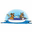 championlakevet.com.au