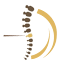 drdiogosampaio.com
