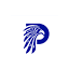 palconit.com