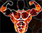 stavrosfitnations.com