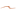 theprintwave.com