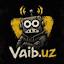vaib.uz