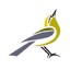 warblerpress.com