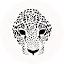 zanderm.com