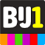 bij1.org