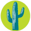 coloradofilm.it