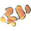 coralwindows.co.uk