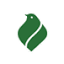 mfpa.ir