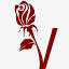 veredical-aesthetic.com