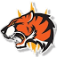 wireinfotech.com