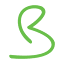 biomac.com.ar