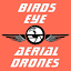 birdseyeaerialdrones.com