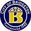bridgetonmo.com