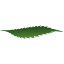 bushplanet.tv