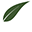 courseleaf.com