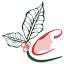 crecertspecialtycoffee.com