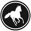 equitex-saddlepads.us