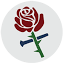 irmarosadeferro.com