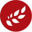 ispseeds.com