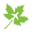 mapleparking.co.uk