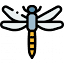 migratorydragonflypartnership.org