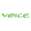 voiceireland.org