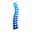 backpaindoctornj.com