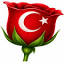 birgulnakliyat.com.tr
