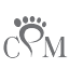 centropodologicomendillorri.com