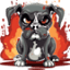 dog***.net