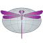dragonflycapture.com