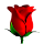 drinkpetal.com