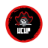 fionaraven.com