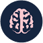 gutbrainconnection.co.uk