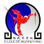 kungfuwushu.org