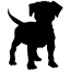 toutchattoutchien.com