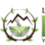 traditional-chinese-herbs.com