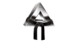trigonmartialarts.com