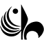 academfest.com