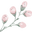 amatxu.com