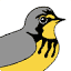 birdscanada.org