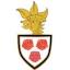 carnavalsspeldjes.nl