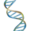 dnalc.org