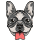 frenchbulldogowner.com