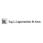 lliconsult.com
