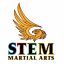 stemmartialarts.com