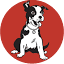 superbdog.com