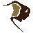 thebisonlifestyle.com