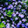 theflowerplace.com